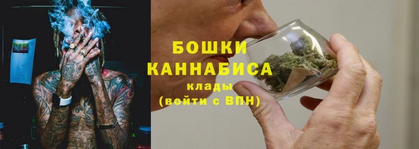 винт Костерёво