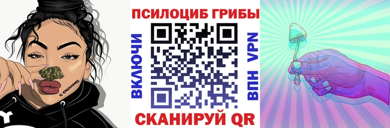 Купить закладки  Среднеуральск  Галлюциногенные грибы прущие грибы 